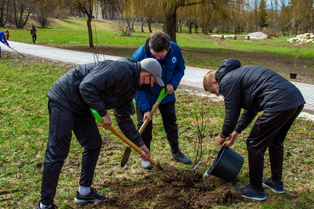 Перший саджанець посаджено ректором Б.Б.Буяком